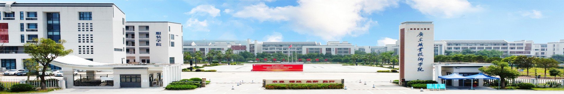 招生动态